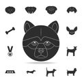 chow chow face icon. Detailed set of dog silhouette icons. Premium graphic design. One of the collection icons for websites, web