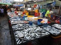 Chow Kit wet market, fresh fish section Kuala Lumpur Malaysia