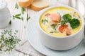 Chowder with salmon Royalty Free Stock Photo