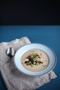 Chowder soup of wild mushrooms and chestnuts, with chives Royalty Free Stock Photo