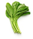 Choy sum, chinese vegetable