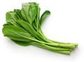 Choy sum, chinese vegetable