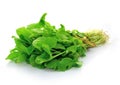 Choy sum, a kind of chinese vegetable Royalty Free Stock Photo