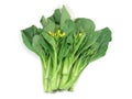 Choy sum, a kind of chinese vegetable Royalty Free Stock Photo