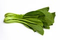 Choy sum on white background with clipping path. Cantonese vegetables Asia Thailand.