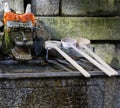 Chozuya purification fountain ladles. Traditional Japanese Shinto wash basin for ritual cleaningof worshipers Royalty Free Stock Photo