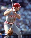 Chris Sabo Royalty Free Stock Photo