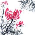 Chrisantemium and bamboo. Flowers illustration..