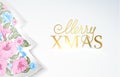 Chrismas fir tree. Royalty Free Stock Photo