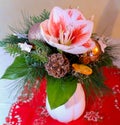 Chrismas Flowers