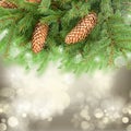 Chrismas tree and pine cones Royalty Free Stock Photo