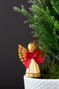 Chrismas tree with small woodden angel under Royalty Free Stock Photo