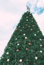 ChrisÃ Â¸Â°mas tree with decoration and ornament Royalty Free Stock Photo