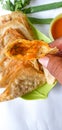 Chrispy Fried Dumpling with chilli sauce. Royalty Free Stock Photo