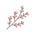 Chrisrmas Branch with berry vector icon