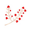 Chrisrmas Branch with berry vector icon