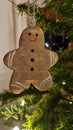 The  Chrisrmas gingerbread man Royalty Free Stock Photo