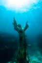 Christ of The Abyss statue in the Florida Keys Royalty Free Stock Photo