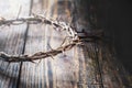 Christ Bloody Crown of Thorns Royalty Free Stock Photo