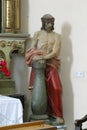 Christ at the Column, the statue in the church of Saint John the Baptist in Sveti Ivan Zelina, Croatia