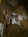 Christ crucified - Wieliczka Salt Mine