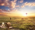 Flock of sheep on cross and sunset background Royalty Free Stock Photo