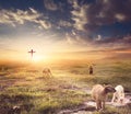 Christ Jesus concept, Flock of sheep on cross and sunset background Royalty Free Stock Photo