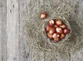 Christ is risen. Onion-painted eggs on dried grass in a nest. Traditional spring festive orthodox food. Easter Sunday