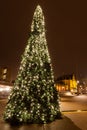 Christamas tree in city near the railway station