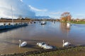 Christchurch Dorset England UK with swans on river