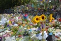 Christchurch Mosques Massacre - Flower Tribute Detail with Sun Flowers