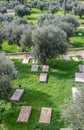 Christian cemetery in Jerusalem