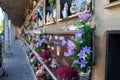 Christian cemetery tombs in concrete niches