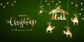 Christian Christmas Elements on Green Background Royalty Free Stock Photo