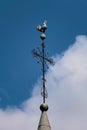 Christian church bell tower with a rooster-shaped weather vane that announces the weather Royalty Free Stock Photo