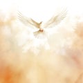 Christian Dove of Peace Watercolor Royalty Free Stock Photo