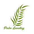 A Christian Palm Sunday religious holiday