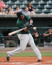 Christian Paulino, Augusta GreenJackets Royalty Free Stock Photo
