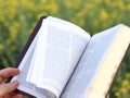 Christian woman reading Holy Bible Book and turning pages in nature