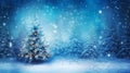 Christimas Pine Tree in Forest Royalty Free Stock Photo