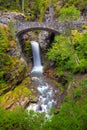 Christine Falls under Bridge in Mt Rainier National Park Royalty Free Stock Photo