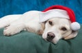 Is It Christmas Yet? Royalty Free Stock Photo