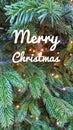 Christmas Abstract Background Blurs Textures Royalty Free Stock Photo