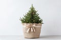 Christmas alternative cypress tree in jute basket. Natural decoration for home interior. Generative AI