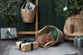 Christmas ambiance with a serene Scottish cat, cozy indoor setting. A feline rests amidst festive decorations