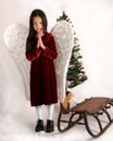 Christmas Angel Royalty Free Stock Photo