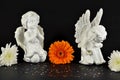Christmas angels with flowers for gifts, isolated on black Royalty Free Stock Photo