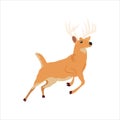Christmas animal cartoon deer clip art illustration Royalty Free Stock Photo