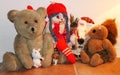 Christmas animal lineup in Andalusian home