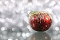 Christmas apple Royalty Free Stock Photo
